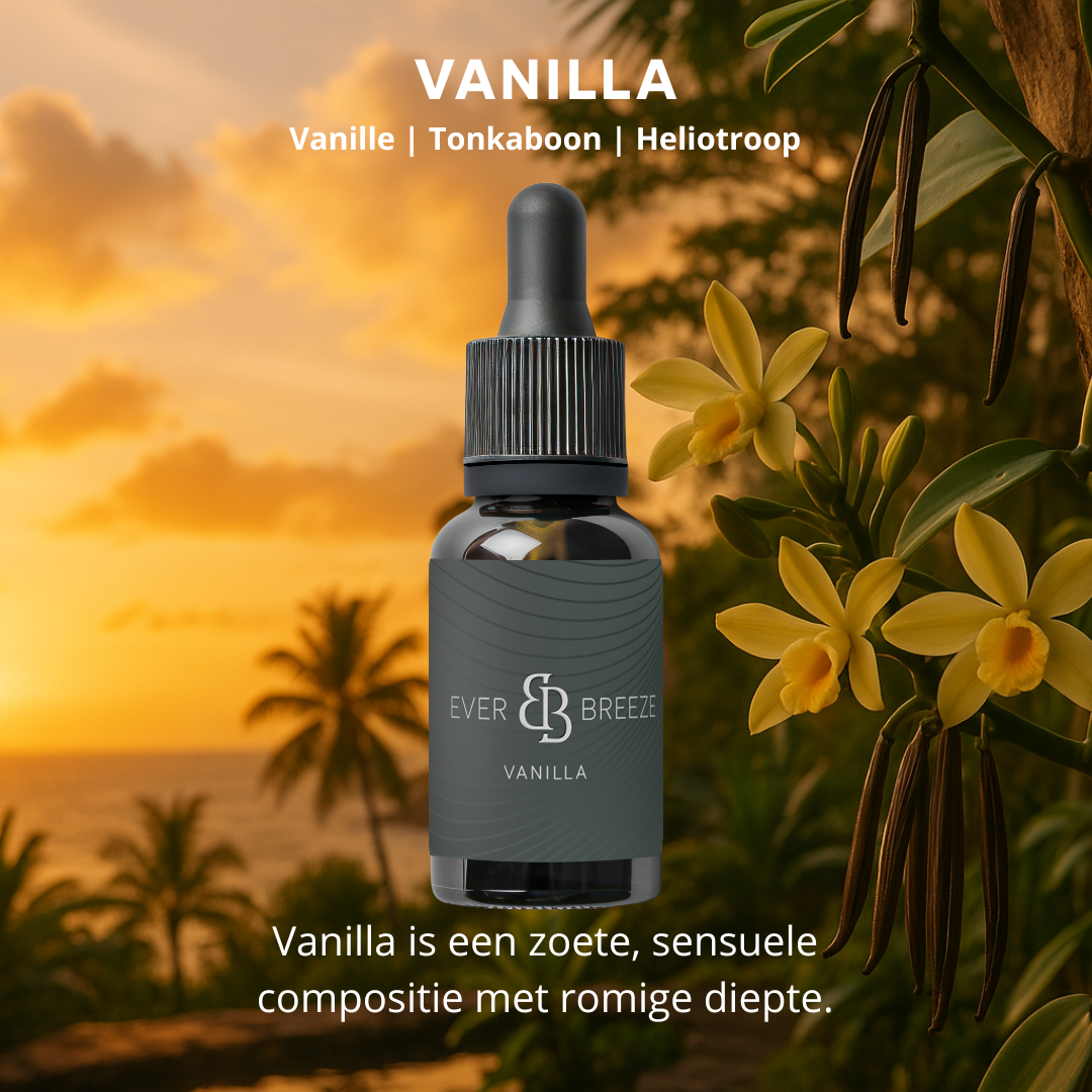 Autoparfum Vanilla Sky